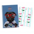 Caderno 100 folhas